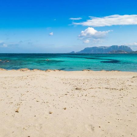 Le Dimore Di Nettuno オルビア エクステリア 写真