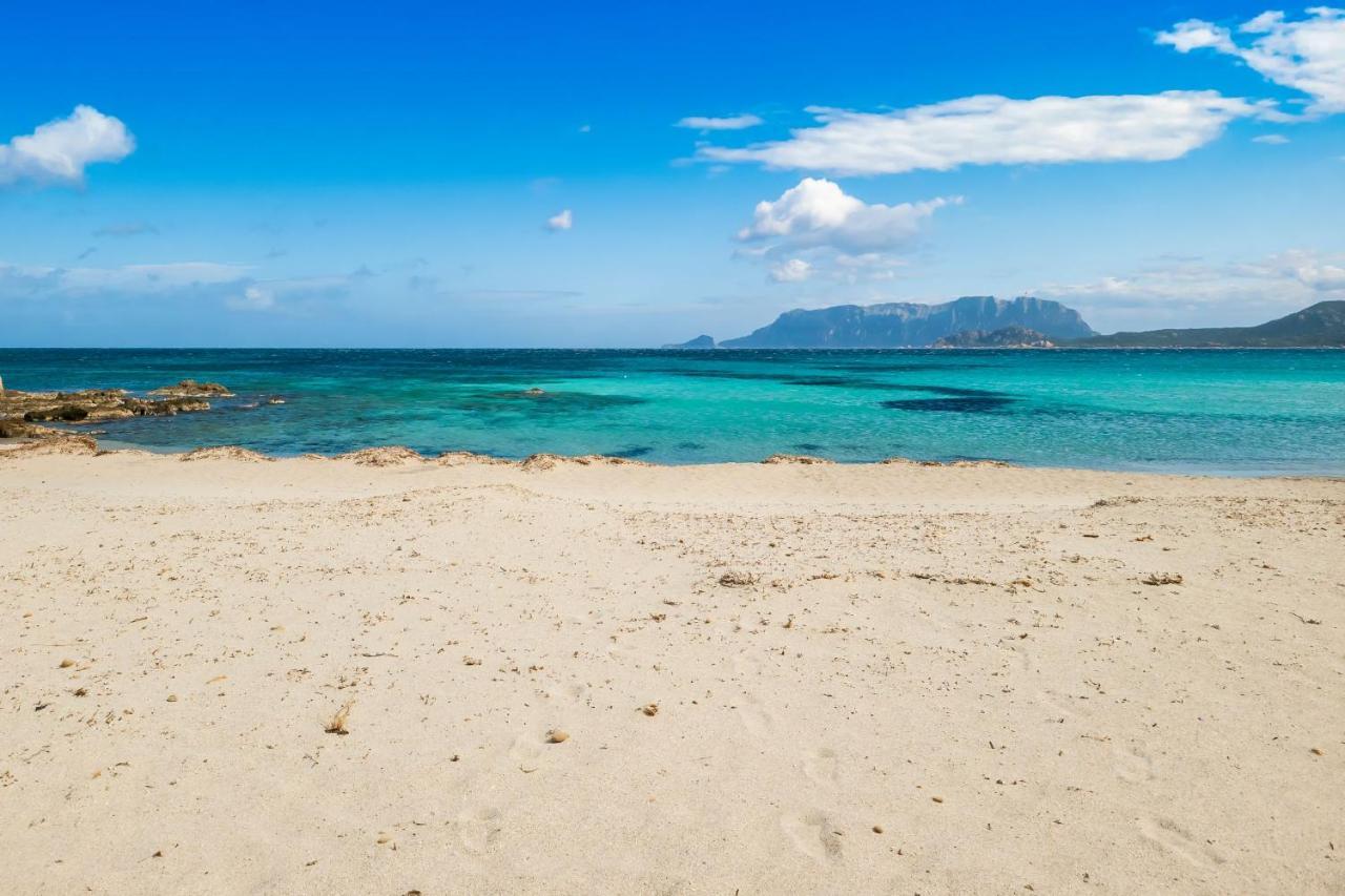 Le Dimore Di Nettuno オルビア エクステリア 写真